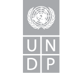 United Nations Development Programme
